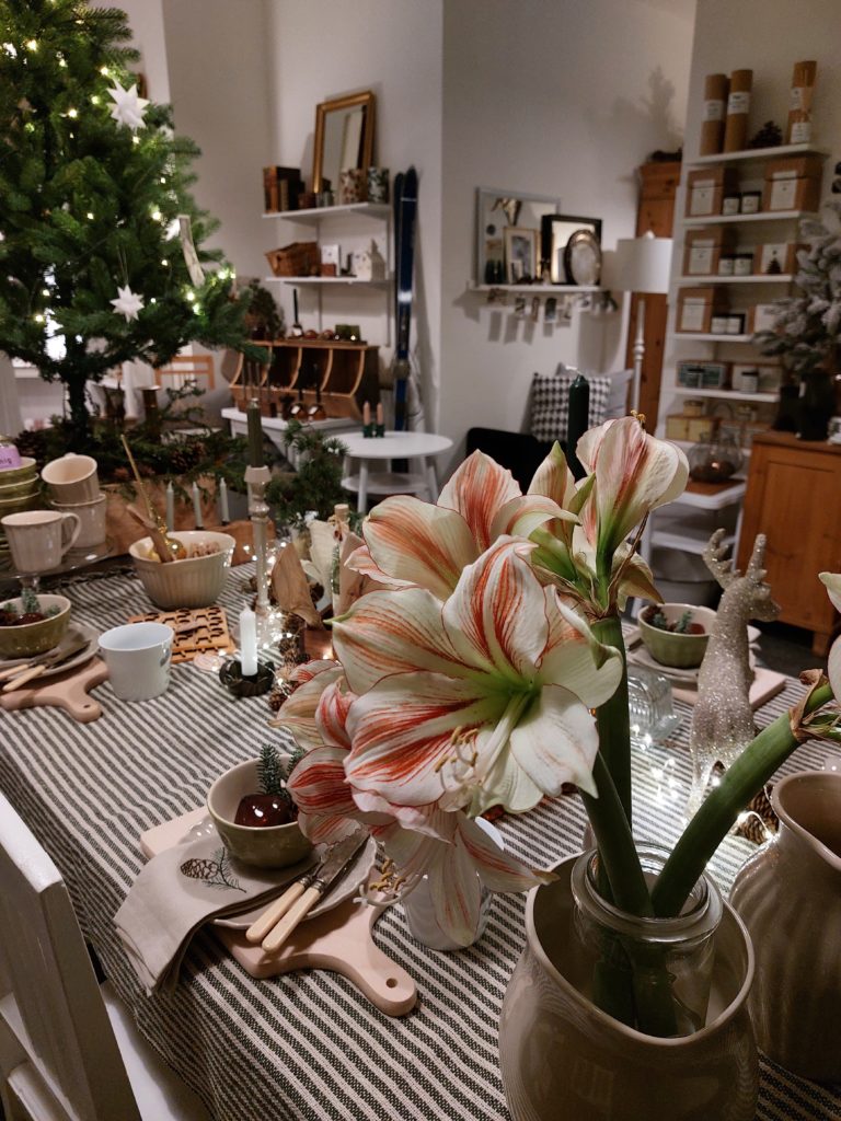Blick in den Laden…und blühende Amaryllis…