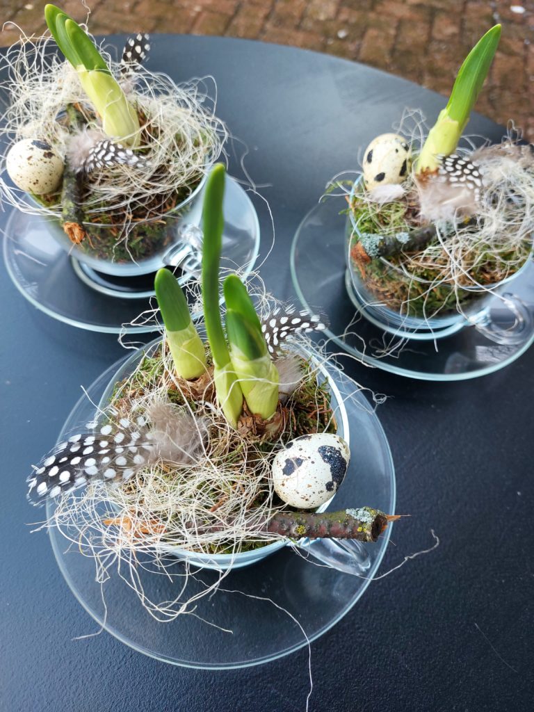 Frische Frühjahrsblüher
